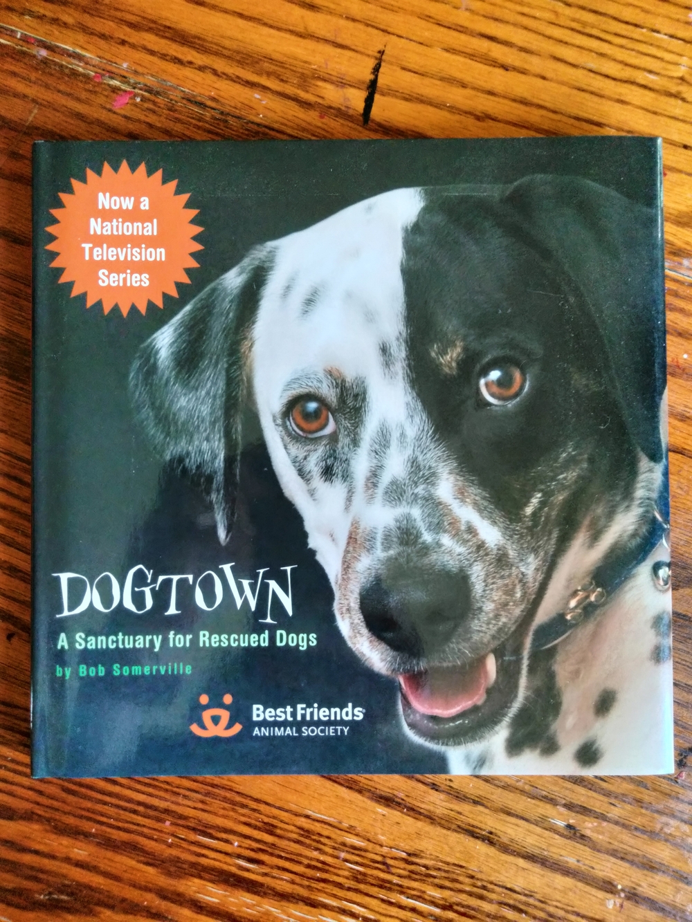 Dogtown A Sanctuary for Rescued Dogs, Hardback by Bob Somerville